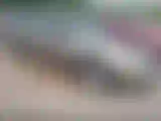 Vehicle Image- 2002 Nissan Altima