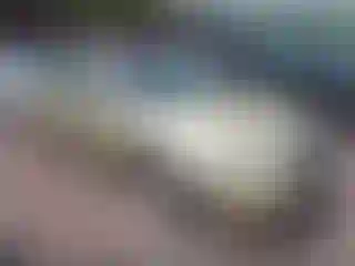 Vehicle Image- 2004 Nissan Altima
