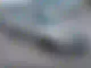 Vehicle Image- 2004 Nissan Altima
