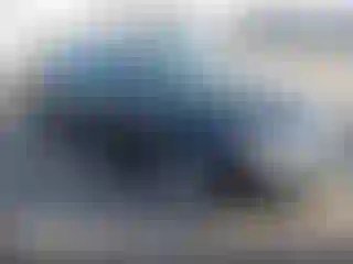Vehicle Image- 2005 Nissan Altima