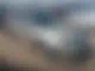 Vehicle Image- 2006 Nissan Altima