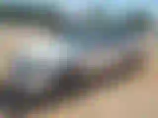 Vehicle Image- 2005 Nissan Altima