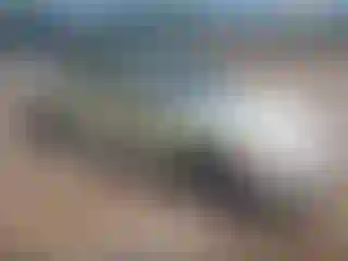Vehicle Image- 2003 Nissan Altima