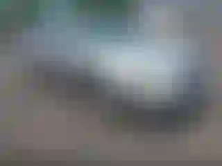 Vehicle Image- 2003 Nissan Altima