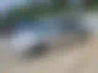 Vehicle Image- 2003 Nissan Altima