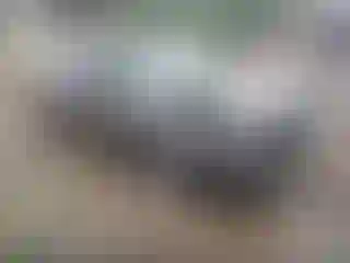 Vehicle Image- 2005 Nissan Altima