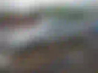 Vehicle Image- 2005 Nissan Altima