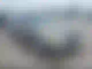 Vehicle Image- 2004 Nissan Altima
