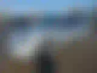 Vehicle Image- 2006 Nissan Altima