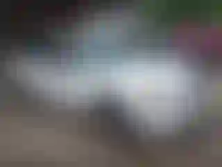Vehicle Image- 2002 Nissan Altima