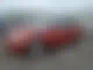 Vehicle Image- 2004 Nissan Altima