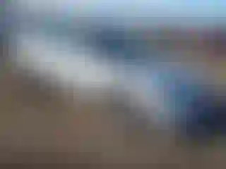 Vehicle Image- 2005 Nissan Altima