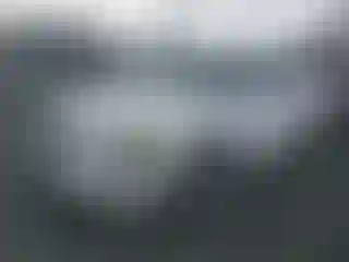 Vehicle Image- 2002 Nissan Altima