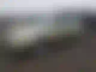 Vehicle Image- 2004 Nissan Altima