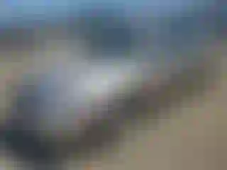 Vehicle Image- 2005 Nissan Altima