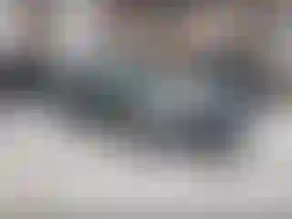 Vehicle Image- 2005 Nissan Altima