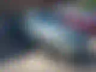 Vehicle Image- 2006 Nissan Altima