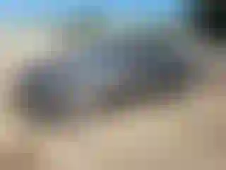 Vehicle Image- 2006 Nissan Altima