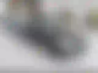 Vehicle Image- 2006 Nissan Altima
