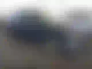 Vehicle Image- 2005 Nissan Altima