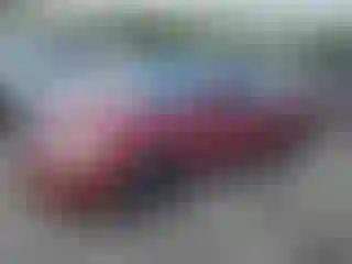 Vehicle Image- 2003 Nissan Altima