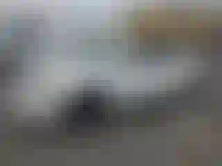 Vehicle Image- 2006 Nissan Altima