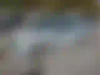 Vehicle Image- 2007 Nissan Altima