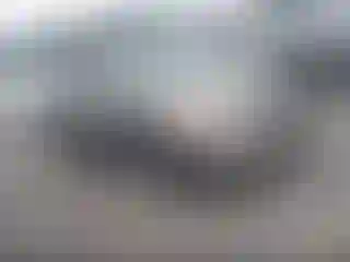 Vehicle Image- 2008 Nissan Altima