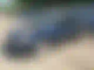 Vehicle Image- 2009 Nissan Altima