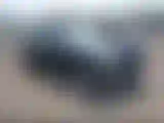 Vehicle Image- 2009 Nissan Altima