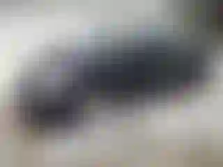 Vehicle Image- 2008 Nissan Altima