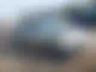 Vehicle Image- 2008 Nissan Altima