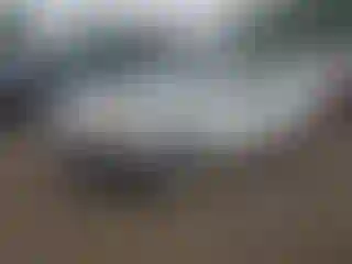 Vehicle Image- 2008 Nissan Altima