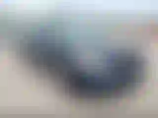 Vehicle Image- 2007 Nissan Altima