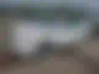 Vehicle Image- 2007 Nissan Altima
