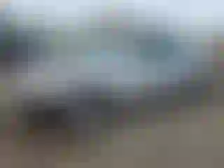 Vehicle Image- 2007 Nissan Altima