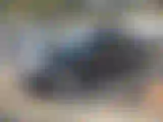 Vehicle Image- 2009 Nissan Altima