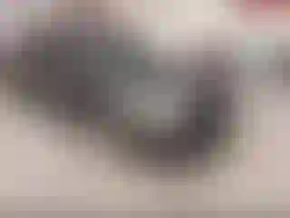 Vehicle Image- 2007 Nissan Altima