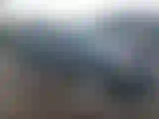 Vehicle Image- 2007 Nissan Altima