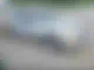 Vehicle Image- 2007 Nissan Altima