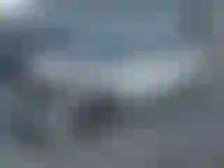 Vehicle Image- 2007 Nissan Altima