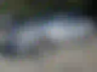 Vehicle Image- 2009 Nissan Altima