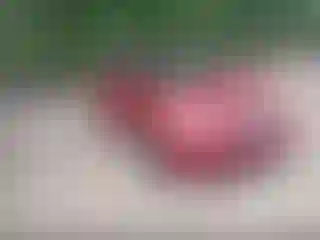 Vehicle Image- 2009 Nissan Altima