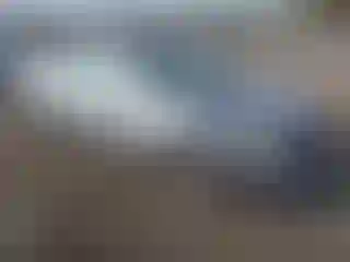 Vehicle Image- 2009 Nissan Altima