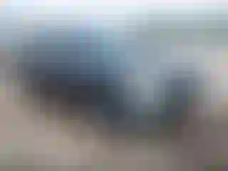 Vehicle Image- 2007 Nissan Altima