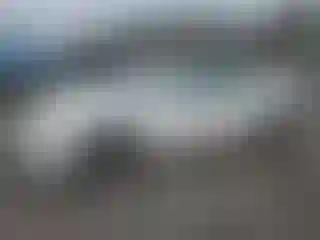 Vehicle Image- 2008 Nissan Altima