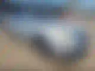 Vehicle Image- 2009 Nissan Altima