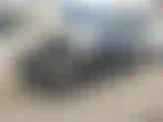 Vehicle Image- 2007 Nissan Altima