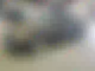Vehicle Image- 2007 Nissan Altima