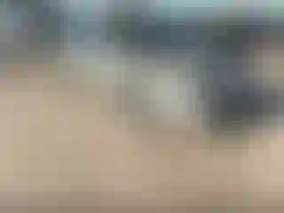 Vehicle Image- 2007 Nissan Altima